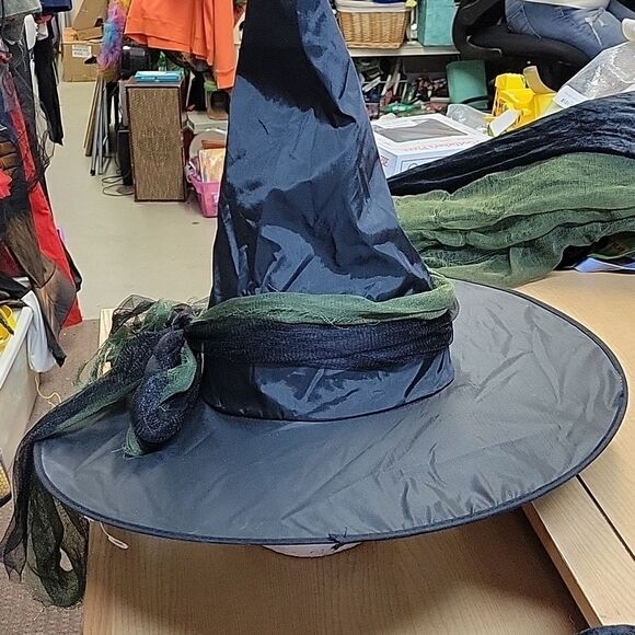 California Costumes Cool Witch Wicked  Child X Large Halloween - Picture 10 of 13